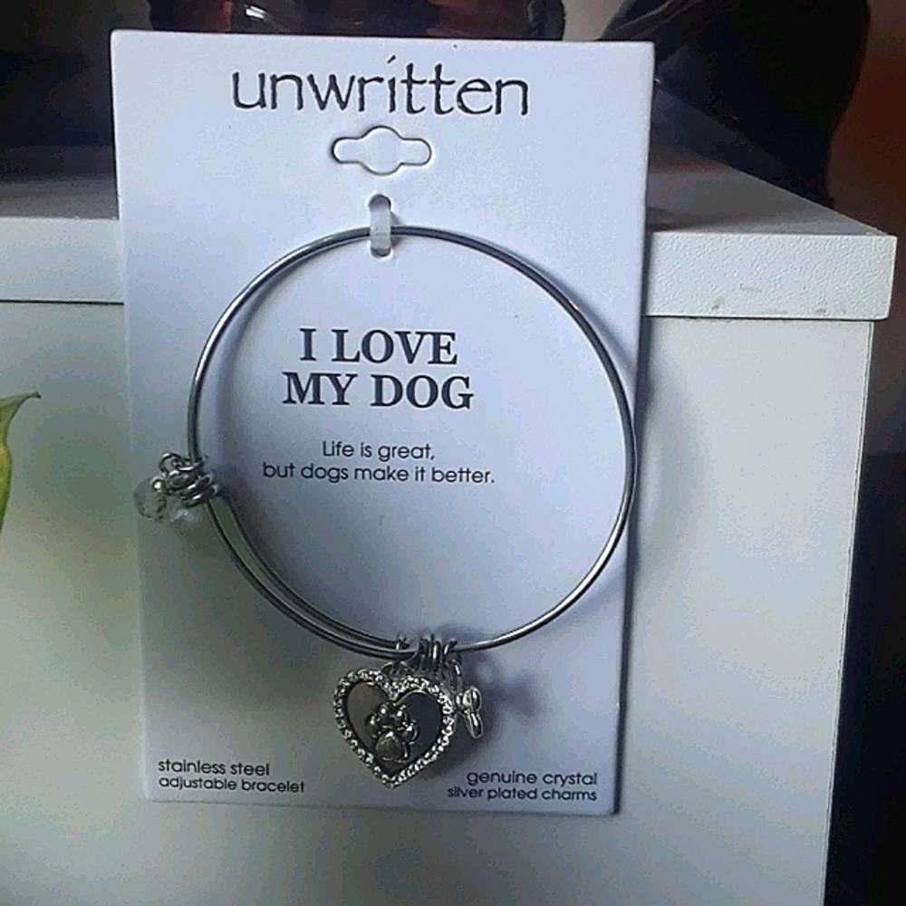 Stainless steel adjustable bracelet.
